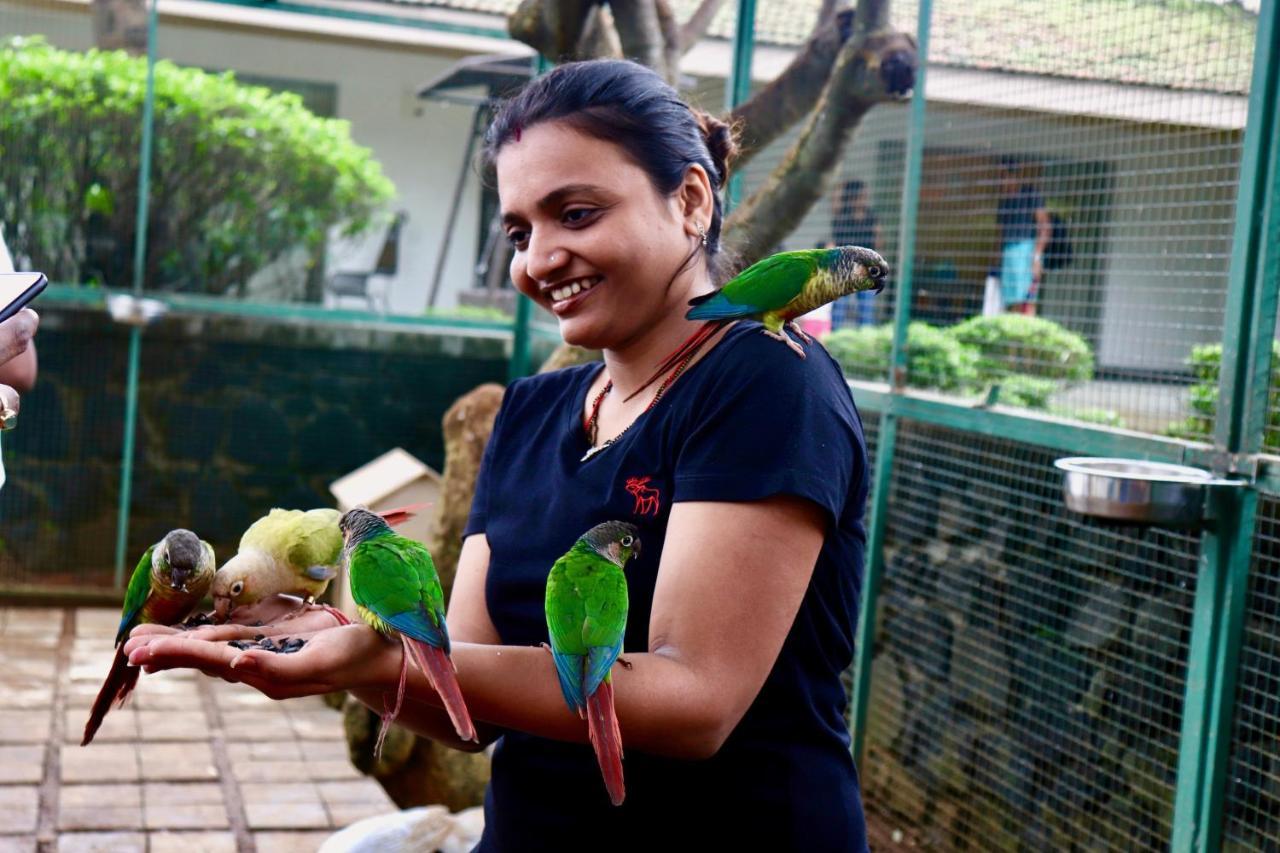 Manas Resort With Petting Zoo, Igatpuri Dış mekan fotoğraf